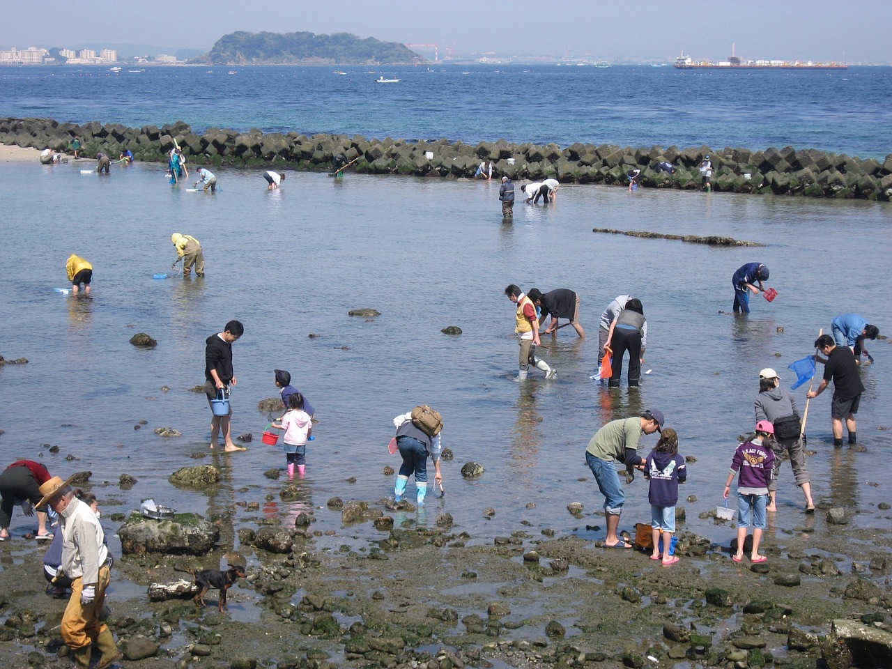 日本核污染排海的影响